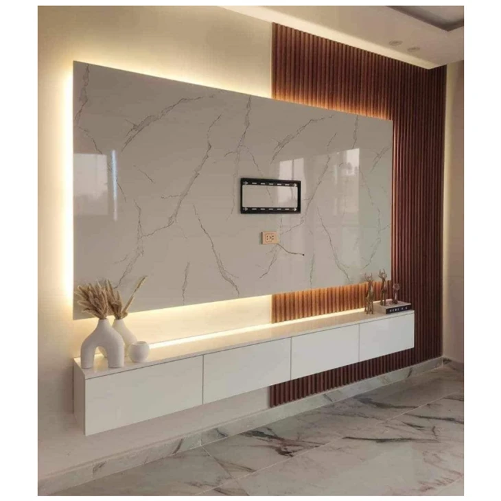 TV&shower room wall panel